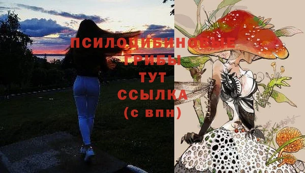 кокс Корсаков