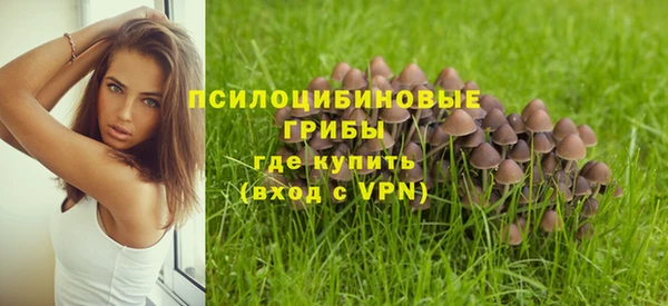 кокс Корсаков