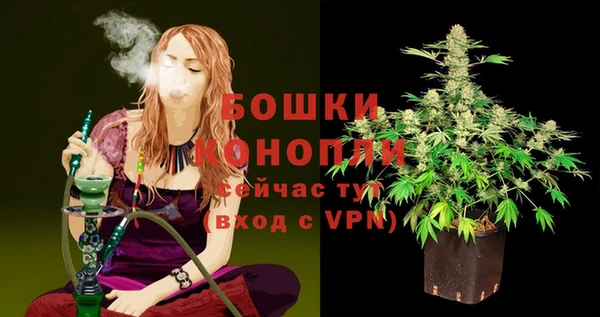 ECSTASY Коряжма