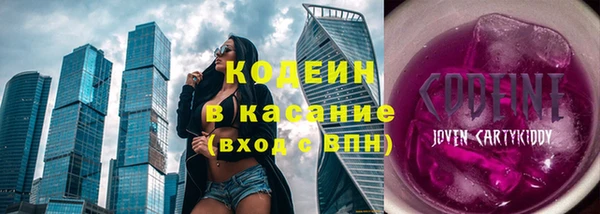 дживик Козельск