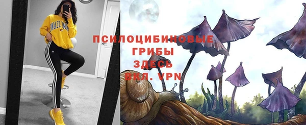 ALPHA-PVP Козловка