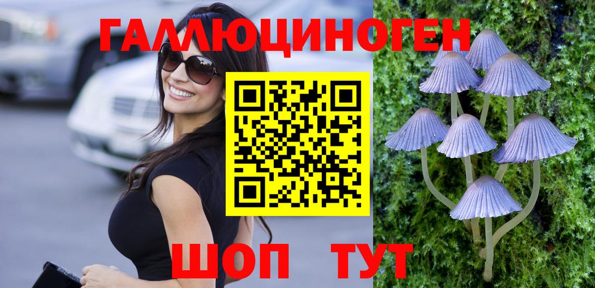Псилоцибиновые грибы MAGIC MUSHROOMS Кизляр
